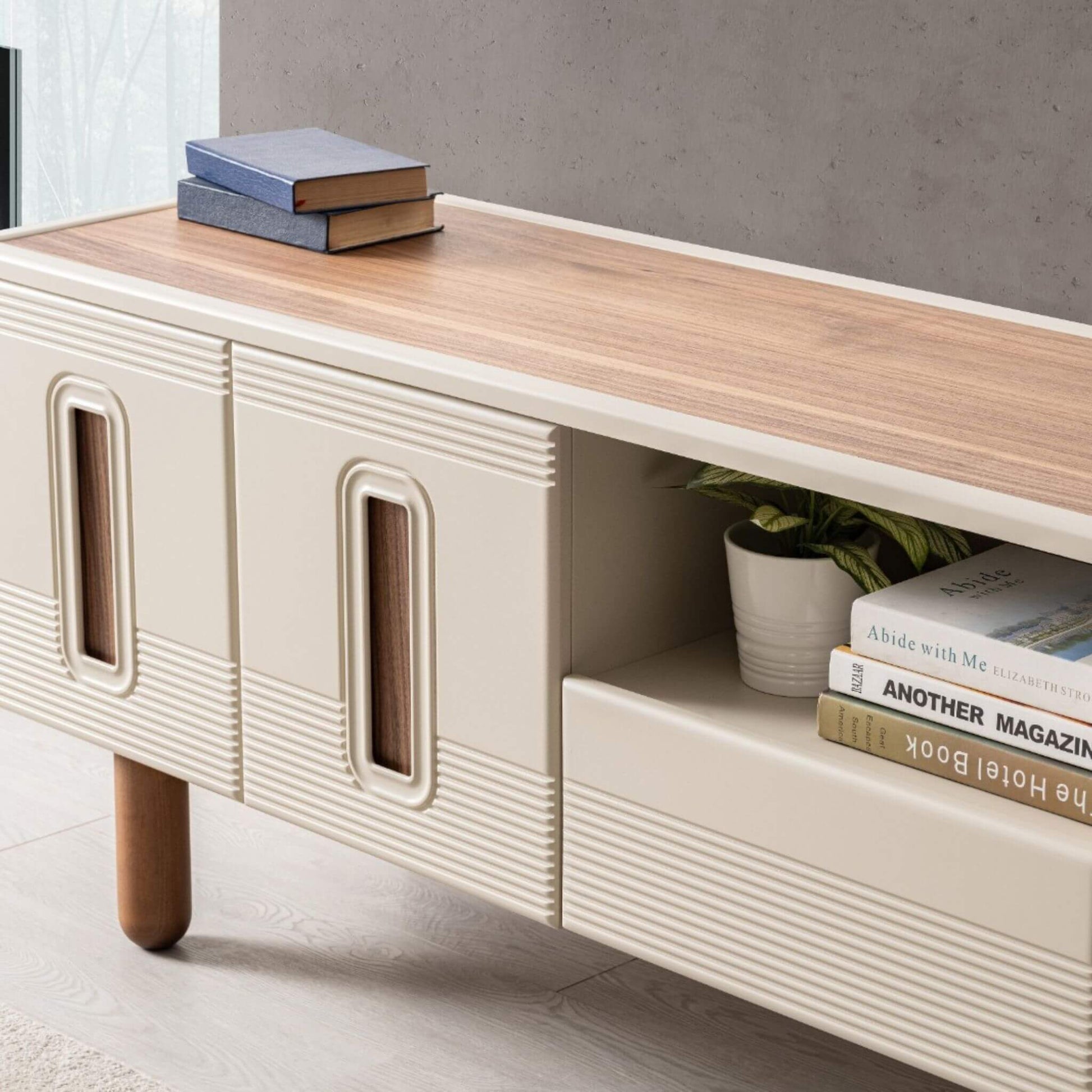 Salon için Asya şık TV ünitesi