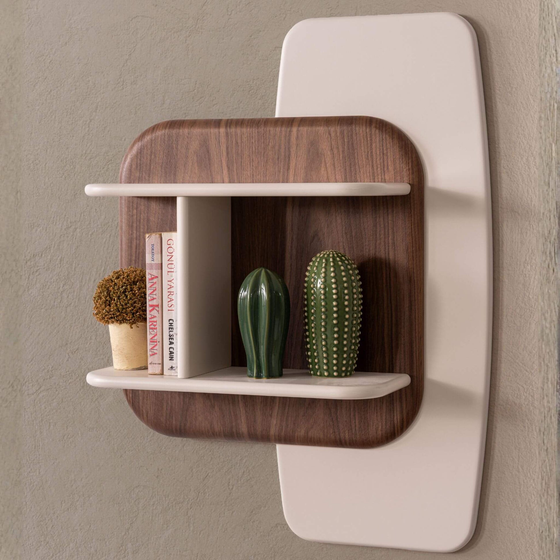 Salon için Salda TV ünitesi ve duvar rafı dekorasyonu